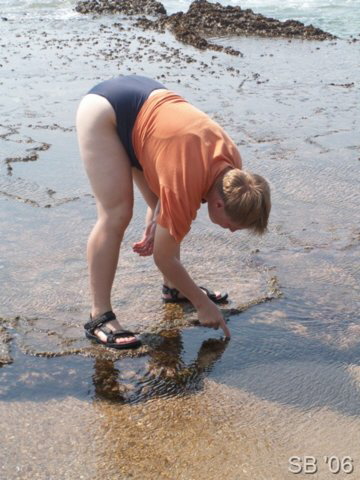 Muscheln sammeln ist toll...