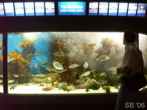 Two Oceans Aquarium