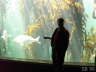 Two Oceans Aquarium