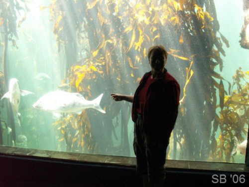Two Oceans Aquarium